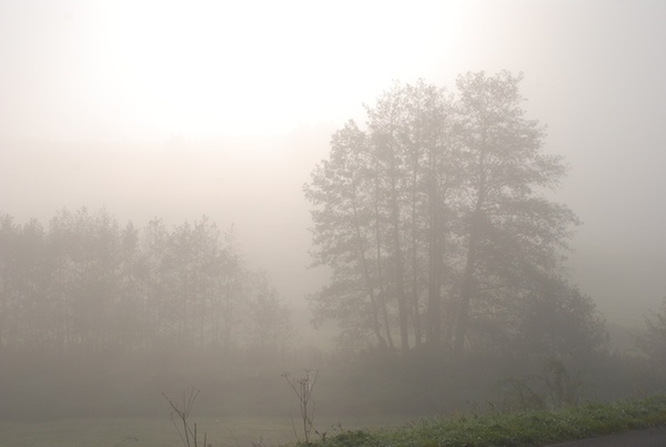 fog