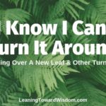 I Know I Can Turn It Around (Turning Over A New Leaf & Other Turnings) - LTW5036