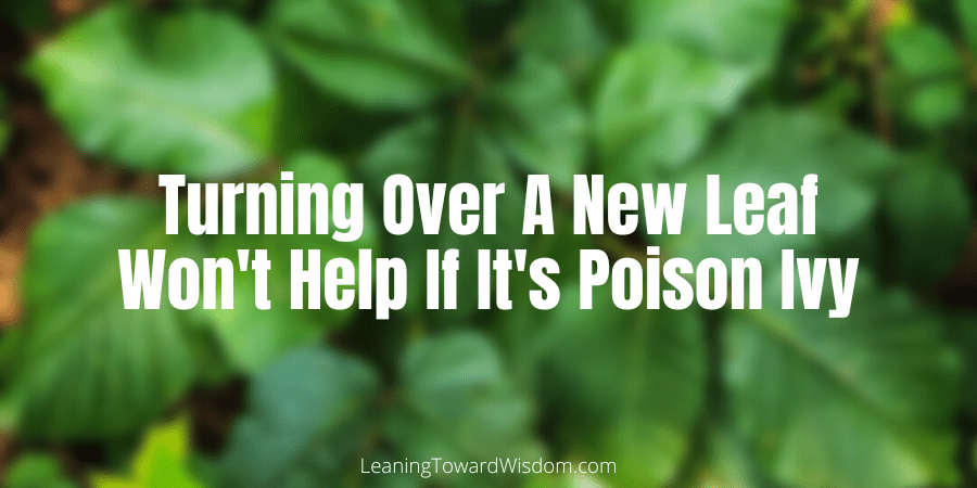 Turning Over A New Leaf Won't Help If It's Poison Ivy