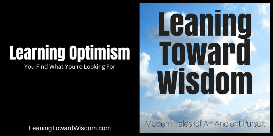 Learning Optimism: You Find What You're Looking For