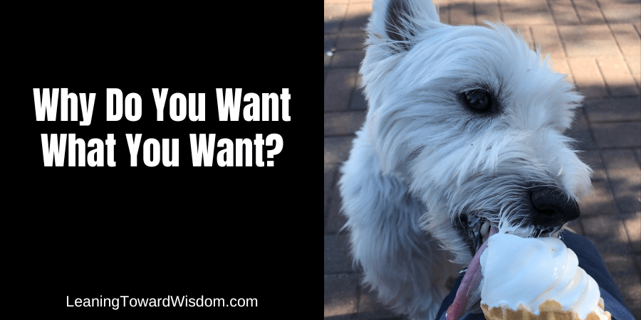 Why Do You Want What You Want?