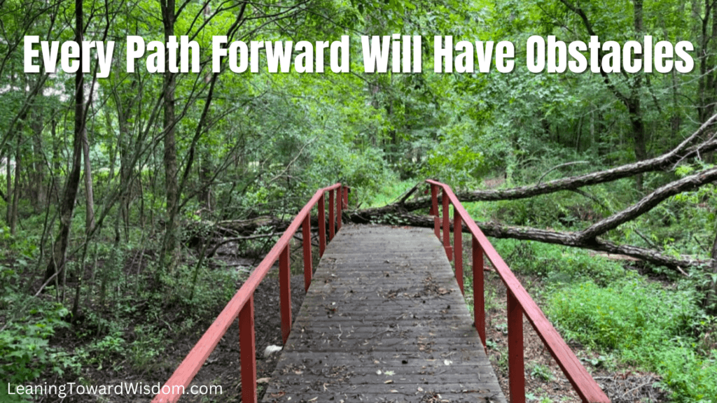 Every Path Forward Will Have Obstacles