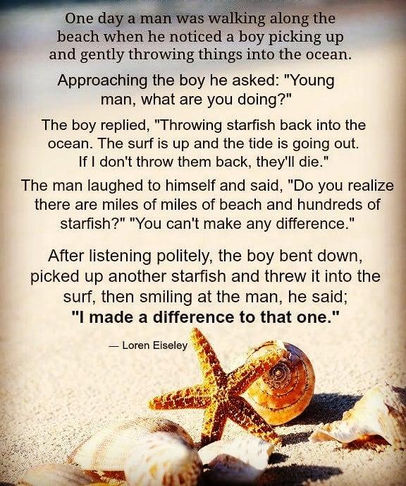 parable of the starfish