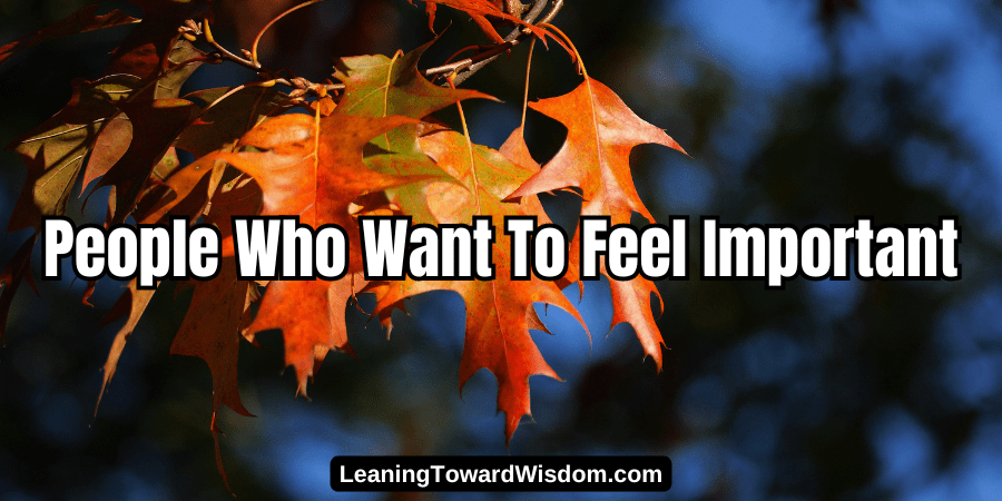 People Who Want To Feel Important