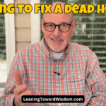 Trying To Fix A Dead Horse